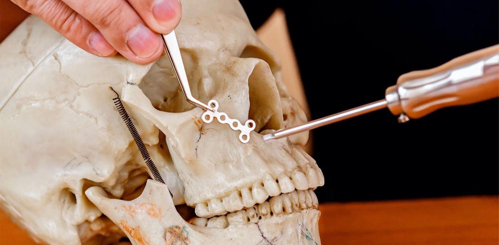 Cráneo Buco Maxilofacial